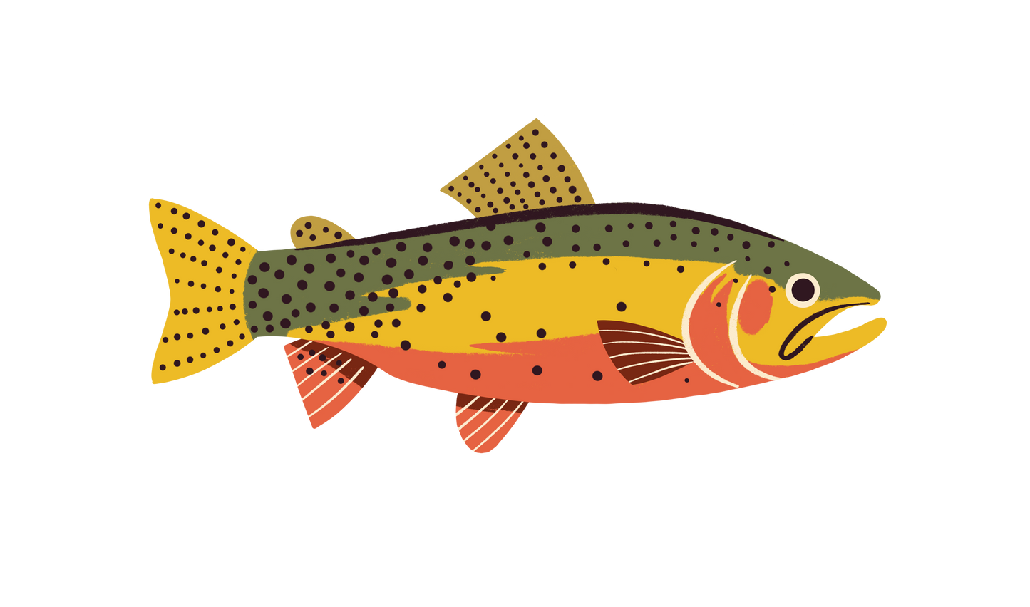 Native Trout Sticker