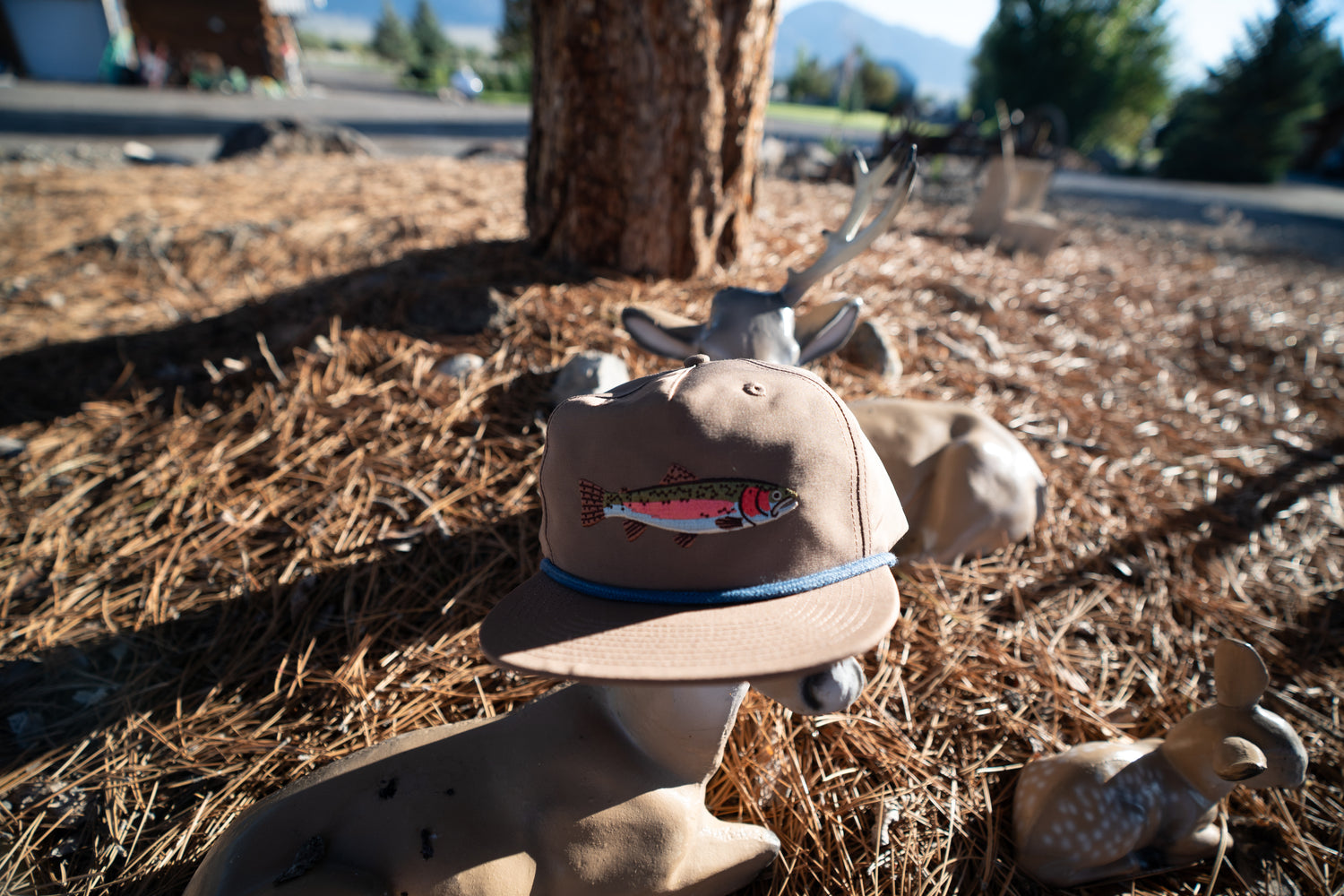 Steelhead Hat